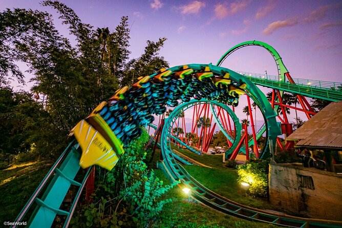 From Tame To Thrilling: Busch Gardens Tampa Bay - Coaster101